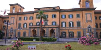 Al San Camillo di Roma introdotto il robot microchirurgico