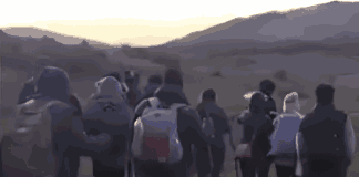 Immigrazione sulla rotta balcanica, smantellata una cellula criminale pakistana