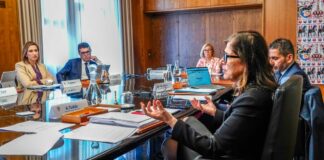 Dall’Asinara alla Blue tongue, in Sardegna raffica di delibere della Giunta Todde