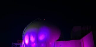 Sogin aderisce alla Giornata mondiale della Fibromialgia