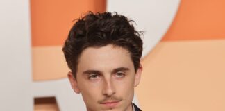 David di Donatello, a Timothée Chalamet il David Speciale