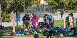 Smog, Crea “Il verde urbano una preziosa risorsa ecologica e ambientale”