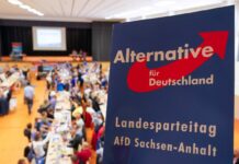 Germania, il tribunale di Colonia sospende la definizione di estremista per il partito Afd