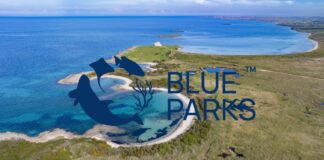 L’Area marina di Torre Guaceto confermata Blue Park