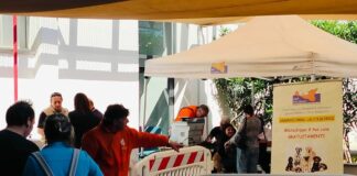 A Palermo microchippatura gratuita per cani e gatti, l’appuntamento al Centro Guadagna
