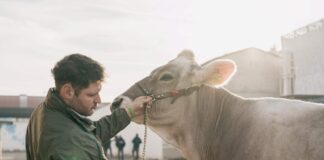 La Sardegna prima tappa del roadshow di Fieragricola 2026