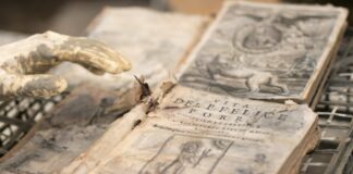 L’Emilia Romagna al Salone del libro di Torino, Allegni “Promuoviamo piccoli e medi editori”