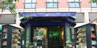 Pesto Barilla, a Milano un bistrot interamente dedicato al basilico