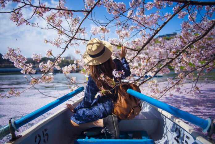 Asian woman is enjoy travel in Japan during spring season.