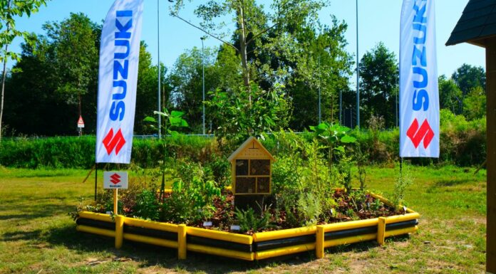 Suzuki crea “Il Giardino delle API Suzuki #2”