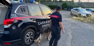 Ad Ardea un arresto, cinque denunce e sanzioni a uno stabilimento balneare