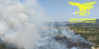 Due grossi incendi in Sardegna, mezzi aerei in azione a Nurri e Ozieri