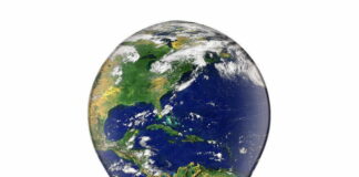 La Bioeconomia sempre più rilevante per l’economia italiana