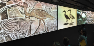 In Piemonte boom di visitatori per il ponte del 2 giugno