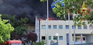 Viterbo, incendio alla facoltà di Agraria dell’Università della Tuscia: evacuati studenti e docenti
