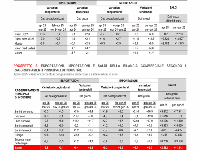 Istat (2) (1)