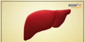 Casi di fegato grasso in aumento tra i giovani, attenzione alla dieta e agli stili di vita
