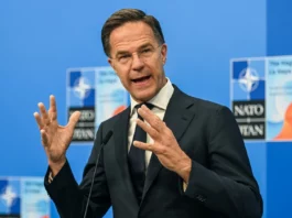 Nato, Rutte “Europa pilastro essenziale della sicurezza transatlantica”