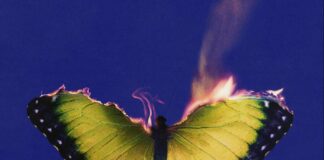 I Maroon 5 annunciano l’uscita del loro nuovo album “Love is Like”