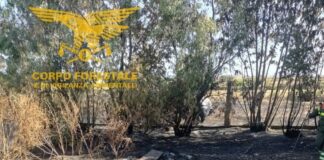 Scatenò un incendio bruciando rifiuti, denunciato un 80enne nel Campidano