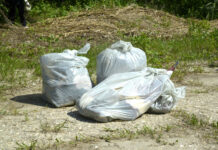 Plastic free, nel 2025 raccolti in Veneto 95.000 kg di rifiuti