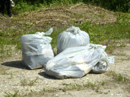 Plastic free, nel 2025 raccolti in Veneto 95.000 kg di rifiuti