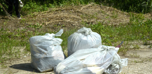 Plastic free, nel 2025 raccolti in Veneto 95.000 kg di rifiuti