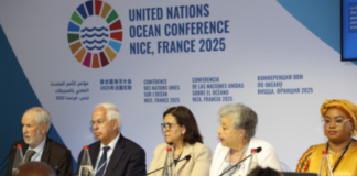 المغرب ينظم بنيس حدثا موازيا حول الطموح الأزرق لإفريقيا