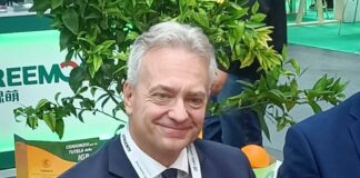 Bando colture e allevamenti in Calabria, finanziate 632 aziende