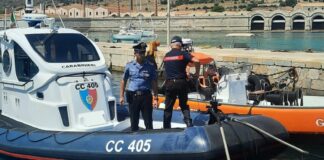 A Favignana i Carabinieri salvano quattro tartarughe in difficoltà