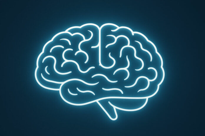 cervello stilizzato cervello stilizzato