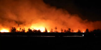 Allerta incendi, Enea nel progetto dell’Ue da 5,6 milioni