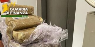 Associazione finalizzata al traffico di droga, 9 arresti a Roma