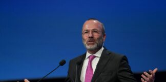 Dazi, Weber “Trump non ci tratti come il Canada e Londra”