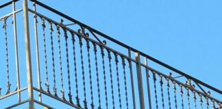 Palermo, intervento del Comune in tutela di un cane esposto al sole