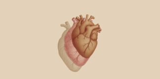 Scompenso cardiaco, nasce il gruppo di lavoro per la diagnosi precoce