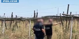 Maxi operazione contro l’immigrazione clandestina in 23 province / Video