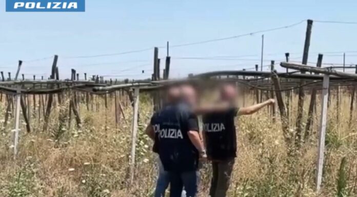Maxi operazione contro l’immigrazione clandestina in 23 province / Video