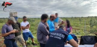Scoperte irregolarità sul lavoro, 25 imprenditori denunciati nel Salento