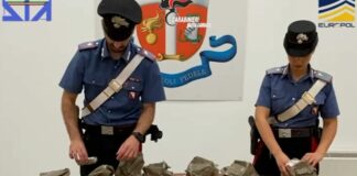 Dia, operazione antidroga in Toscana, Liguria e Lombardia. 13 indagati