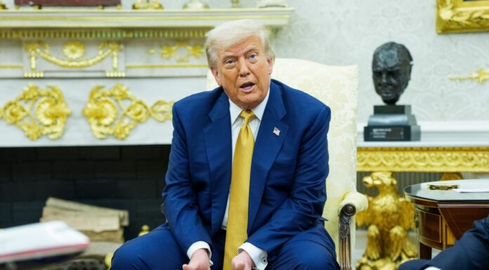 Trump e il toro Maga scatenato per Epstein