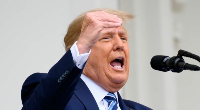 Trump “In sei mesi abbiamo rilanciato gli Usa”