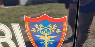 Carabinieri, la Polizia macedone in visita al Comando Unità Forestali, Ambientali e Agroalimentari