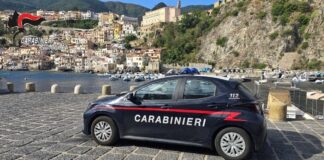 Blitz dei Carabinieri nei lidi del Reggino, multe e sequestri