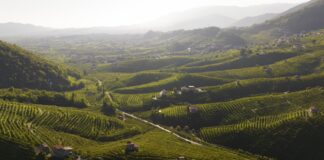 Veneto, crescono i dati turistici dell’area delle Colline del Prosecco: da gennaio a maggio +2,7%