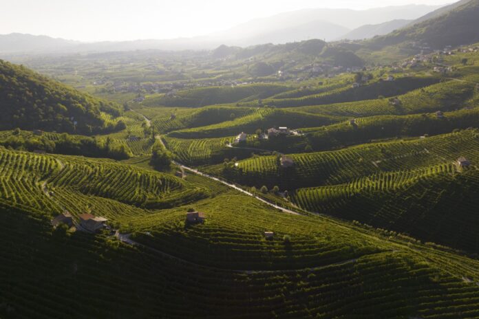 Colline del Prosecco