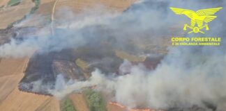 Sardegna, nove persone denunciate dalla Forestale per incendio colposo