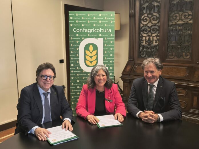 Gambuzza_Nguyen__Caponi