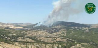 La Sicilia nella morsa degli incendi, oggi altri 83 roghi. Catania la provincia più colpita