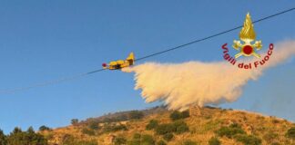 Incendi in Sicilia, venti interventi dei Vigili del Fuoco: in azione anche i Canadair